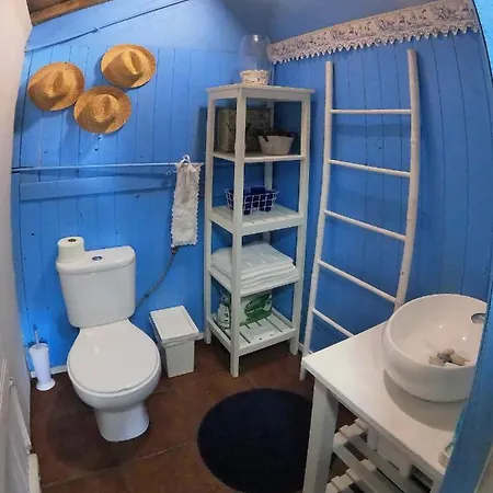 Casa Dos Flamingos بيت للعطل Murtosa