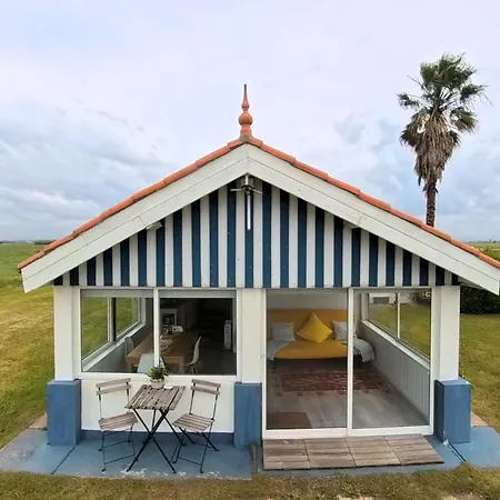 Casa Dos Flamingos 度假居 Murtosa