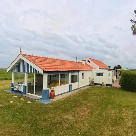 Casa Dos Flamingos Hébergement de vacances Murtosa