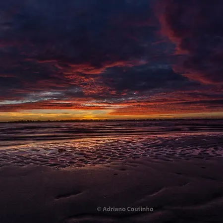 Casa Dos Flamingos * Murtosa