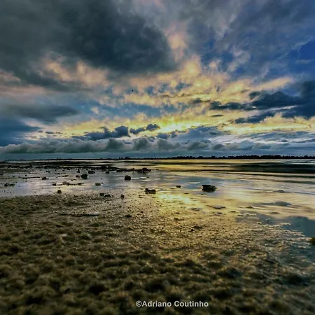 Casa Dos Flamingos * Murtosa