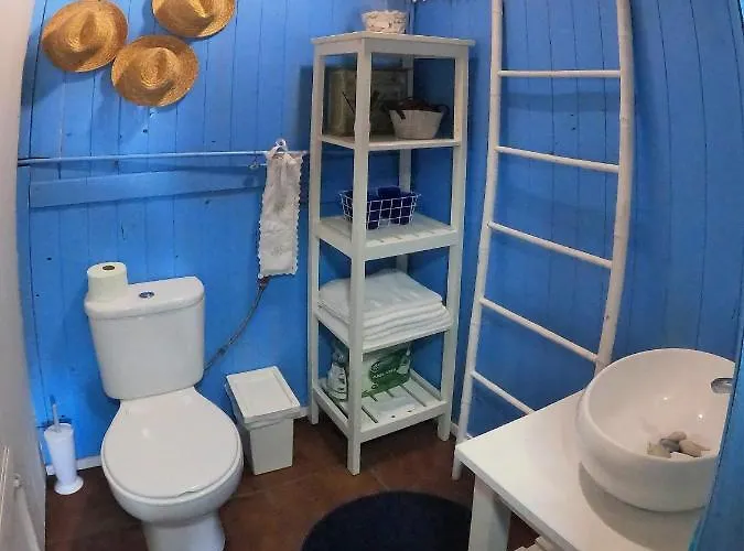 Casa Dos Flamingos Semesterbostad Murtosa