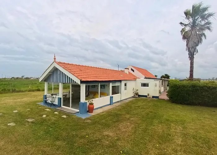 Casa Dos Flamingos Semesterbostad Murtosa